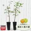 なし 南水と長十郎の受粉樹セット