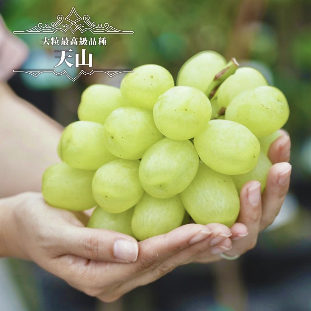 000000050483-01.jpg?size=m&w=