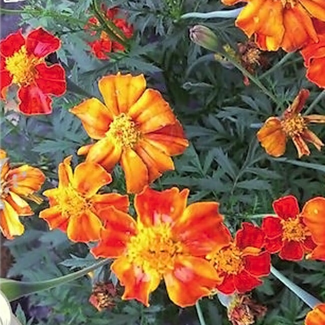 000000050574-02.jpg?size=l&w=