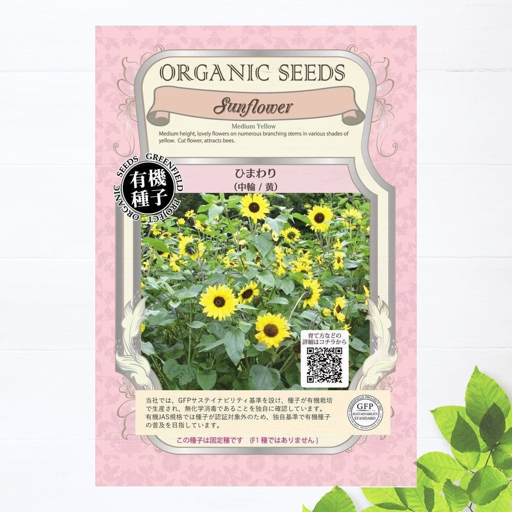 ひまわり 中輪 黄 苗 販売 苗木部 By 花ひろばオンライン