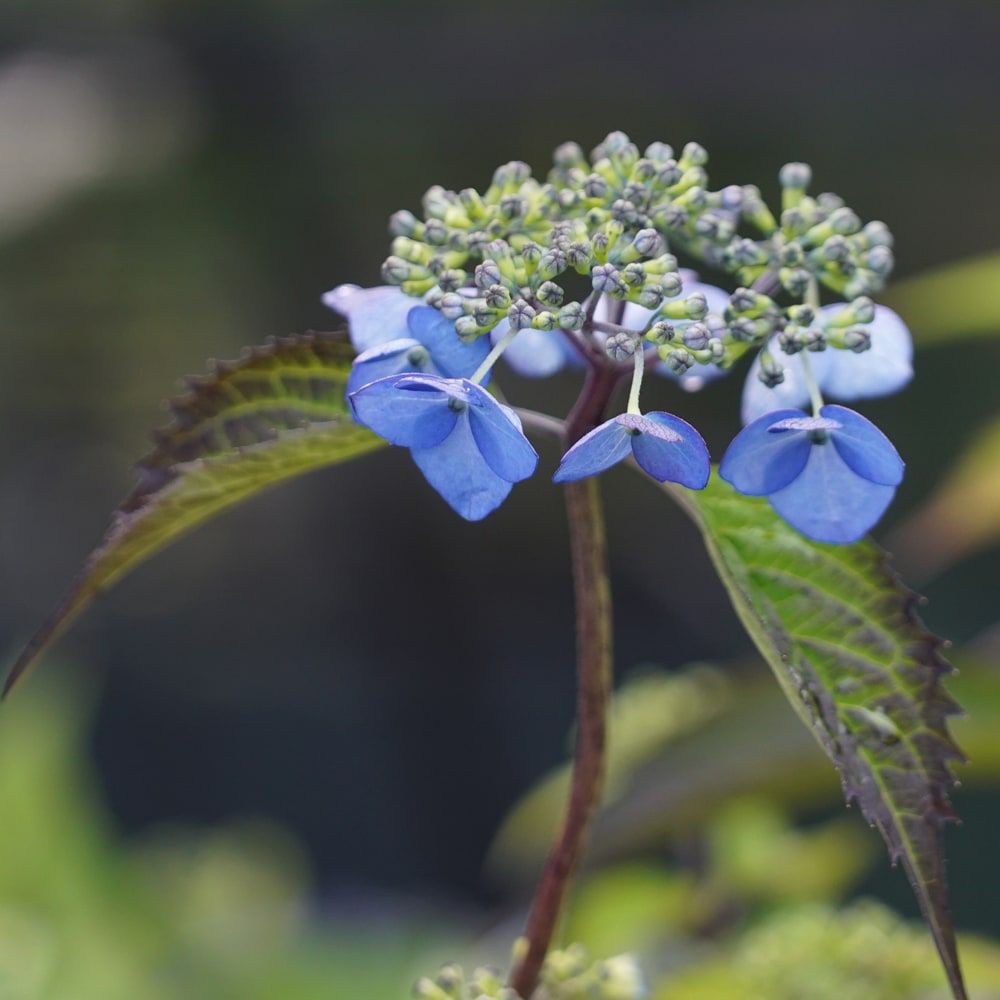 000000050866-02.jpg?size=l&w=