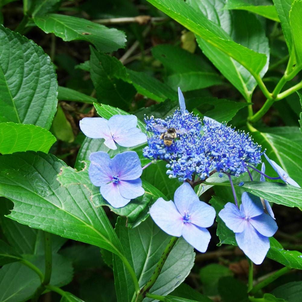 000000050879-07.jpg?size=l&w=