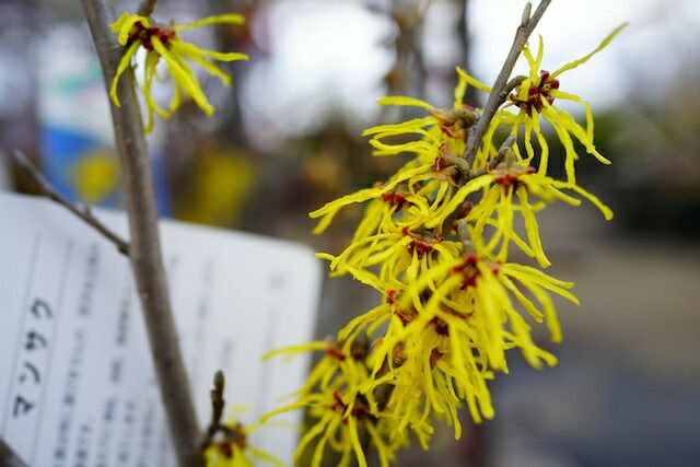 000000050945-01.jpg?size=m&w=