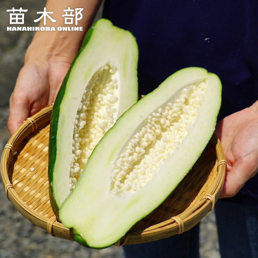 000000051358-01.jpg?size=m&w=