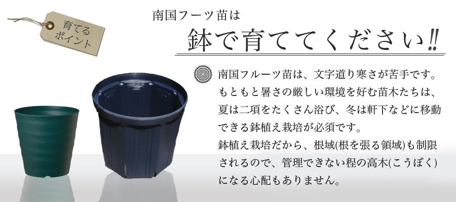 000000051360-05.jpg?size=l&w=