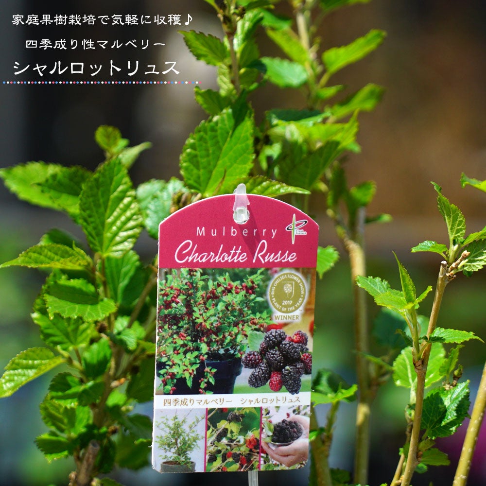 000000051464-01.jpg?size=l&w=