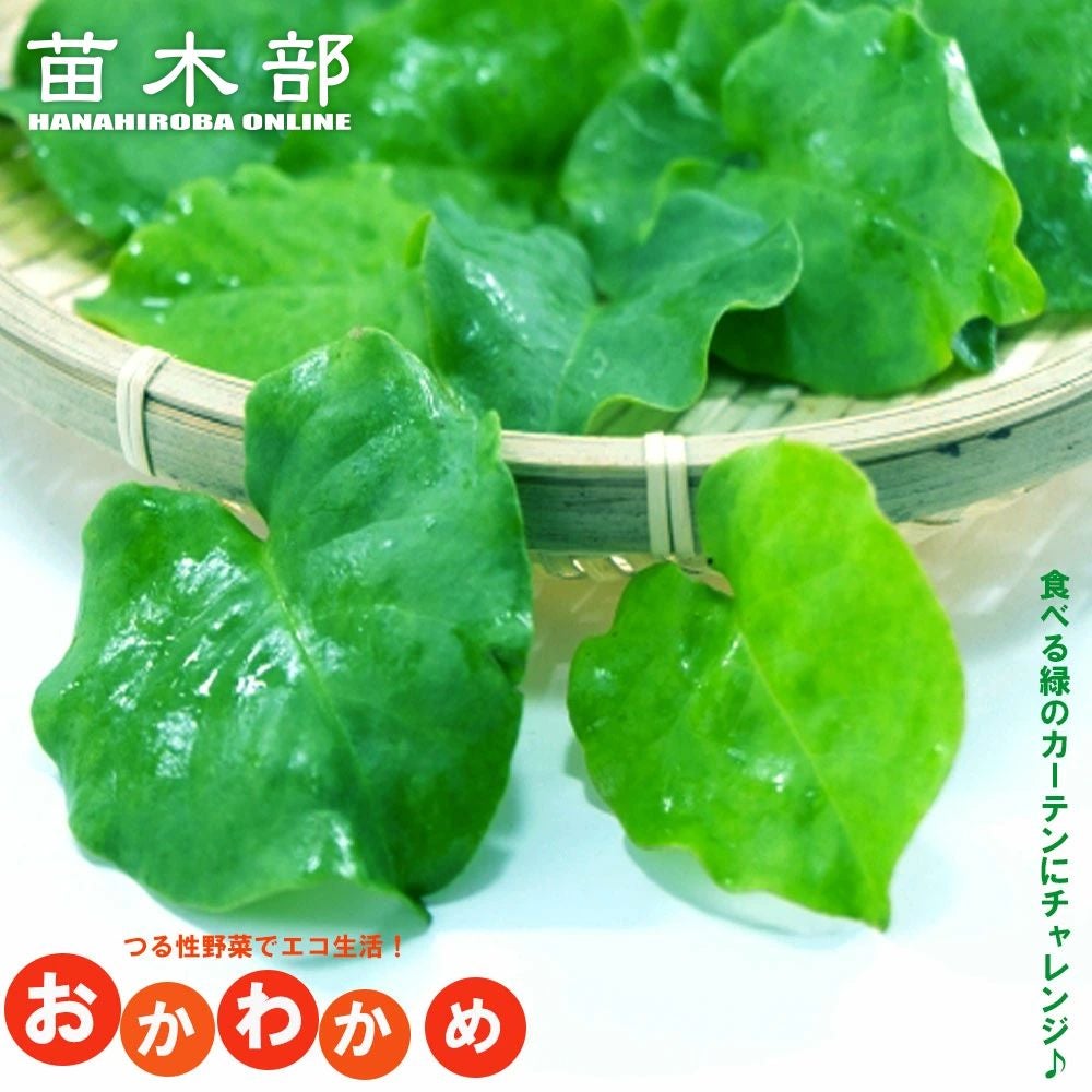 000000051522-01.jpg?size=l&w=