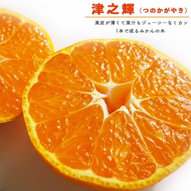 000000051803-02.jpg?size=l&w=