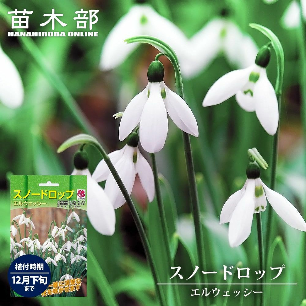 000000052426-01.jpg?size=m&w=