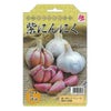 紫にんにく 【モラド種】 球根 2球入り