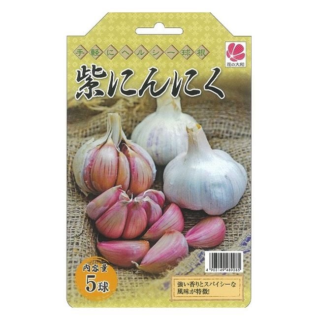 紫にんにく 【モラド種】 球根 2球入り