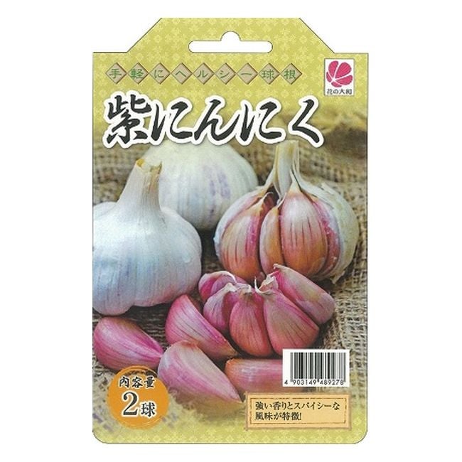 紫にんにく 【モラド種】 球根 5球入り