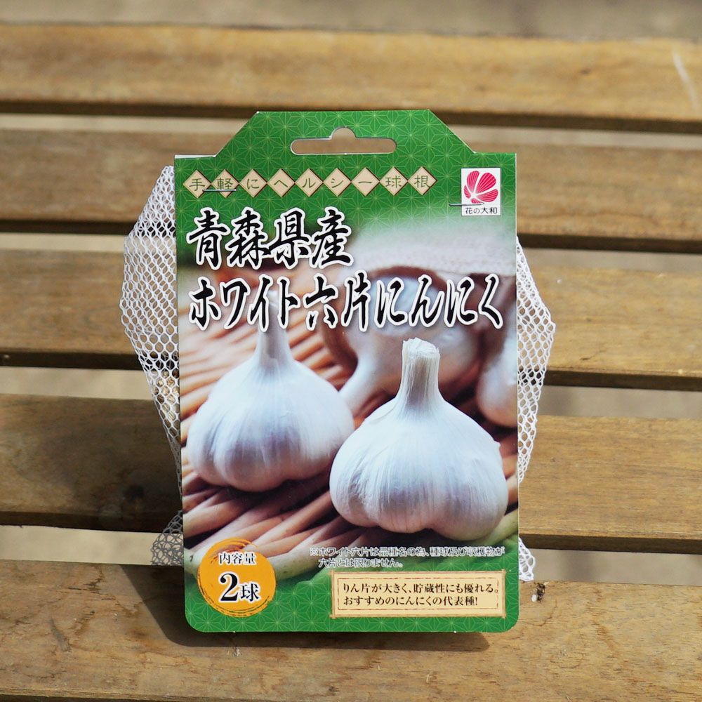 にんにく ホワイト六片 苗 通販 苗木部 By 花ひろばオンライン