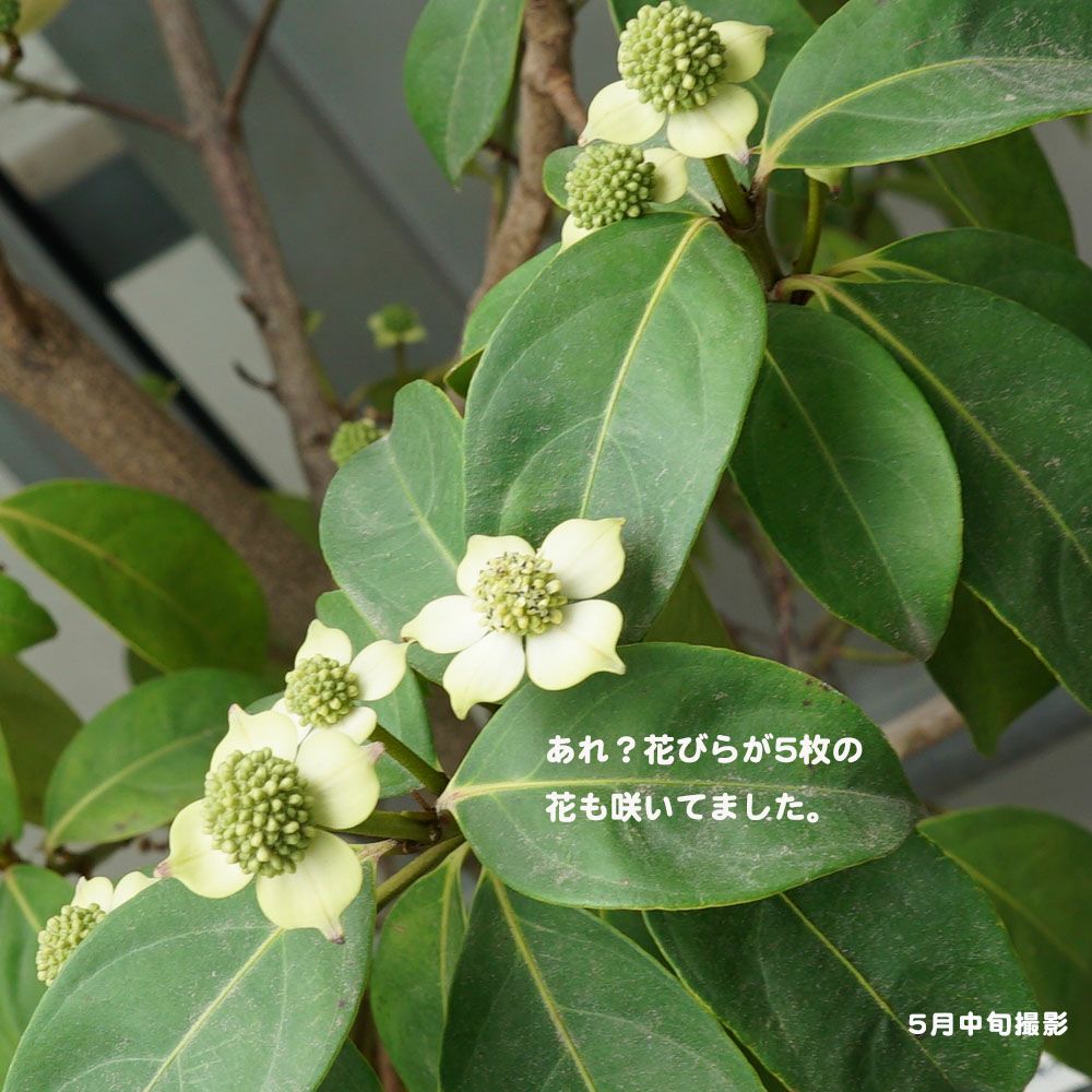 000000054405-04.jpg?size=l&w=