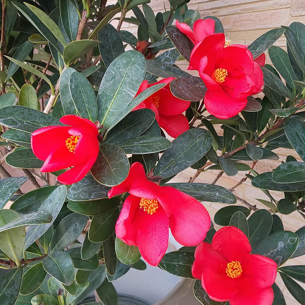 000000054858-07.jpg?size=l&w=