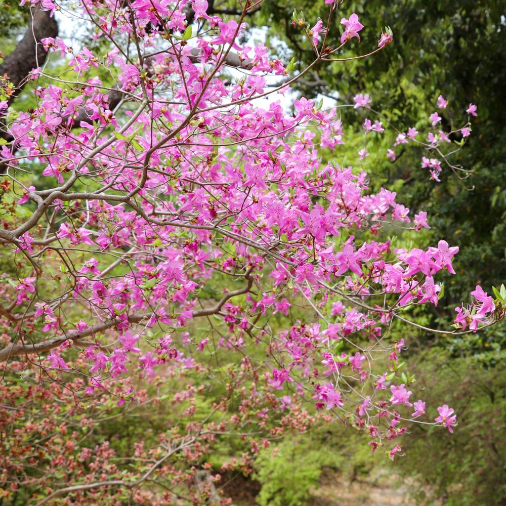 000000056909-02.jpg?size=l&w=