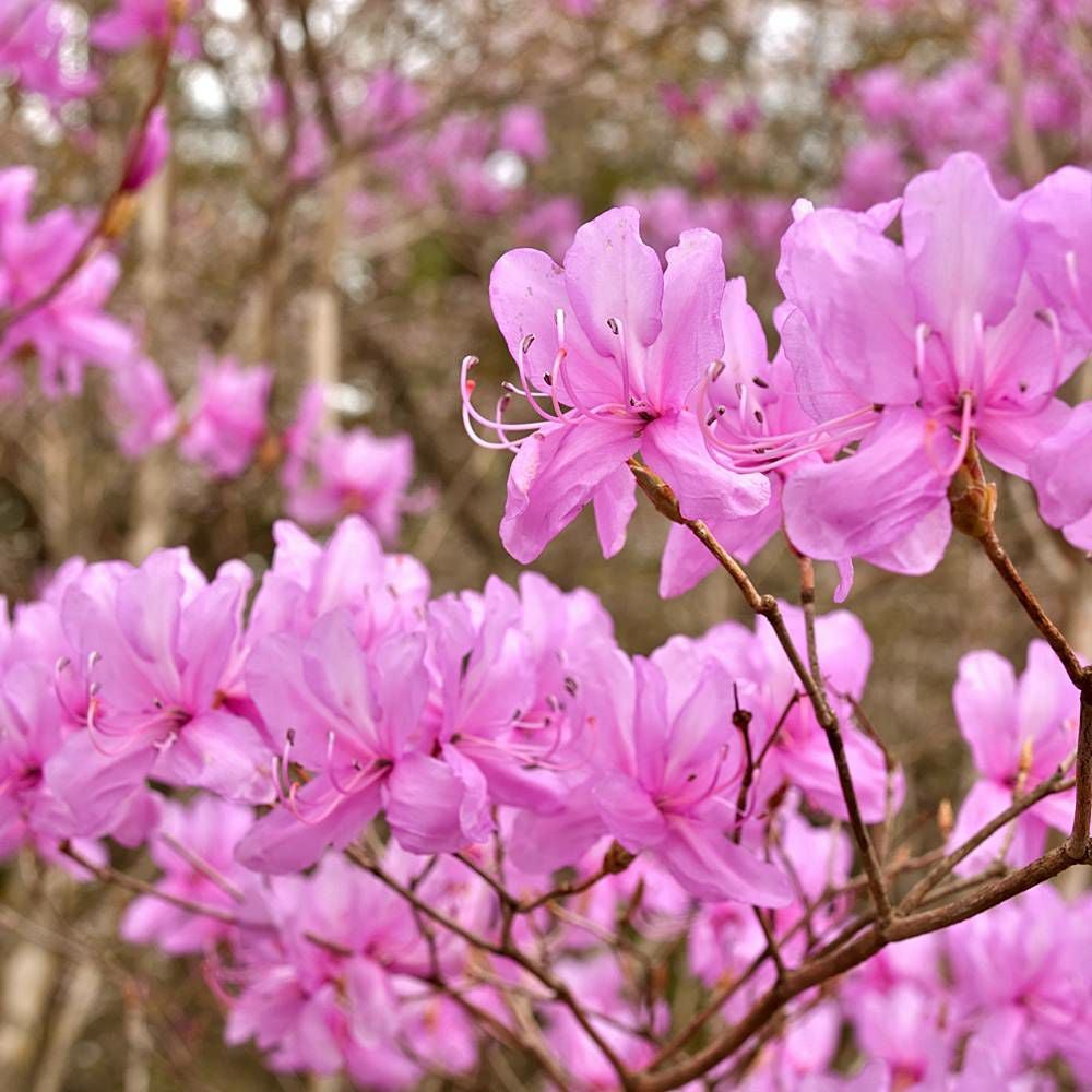 000000056909-06.jpg?size=l&w=