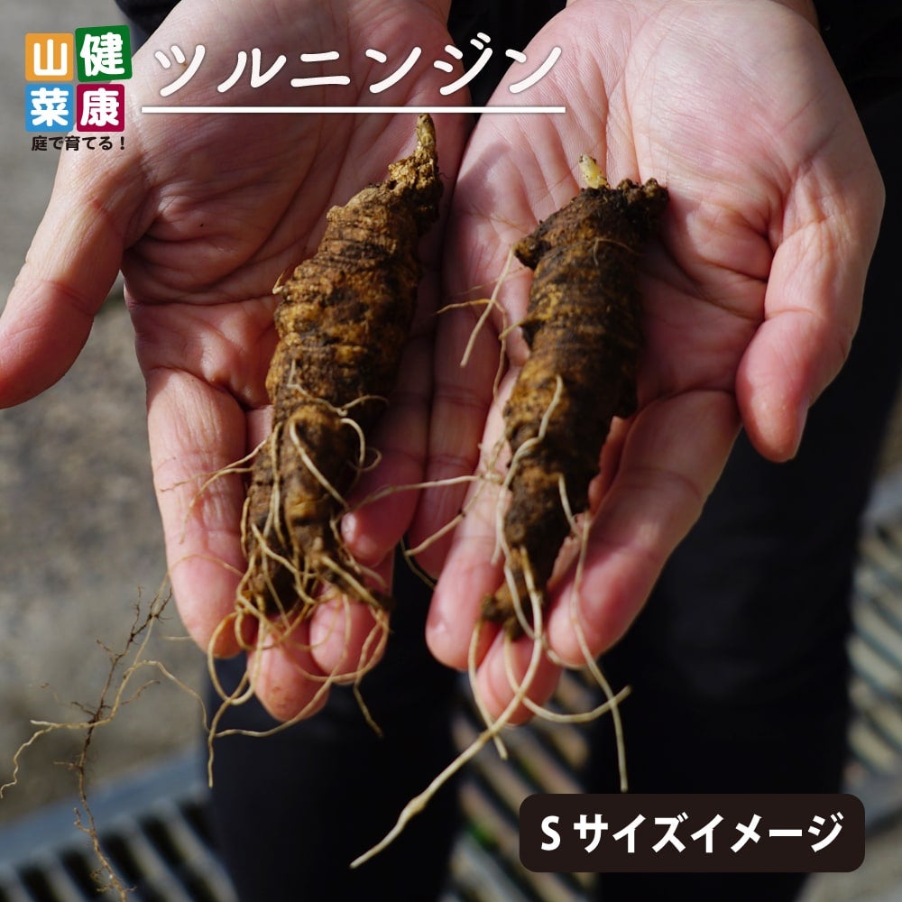 000000057434-01.jpg?size=l&w=