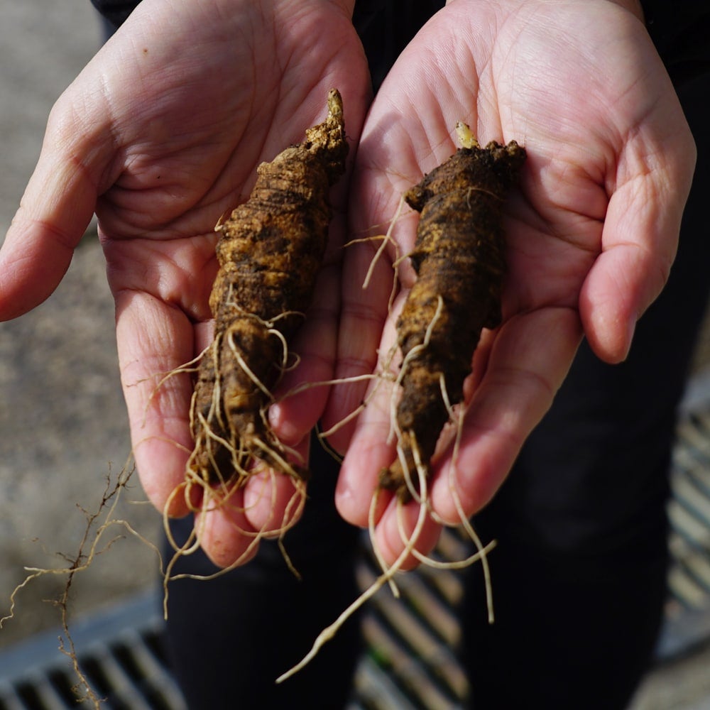 000000057434-04.jpg?size=l&w=