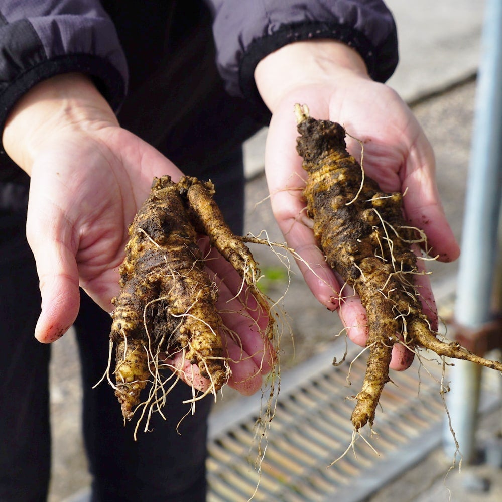 000000057435-04.jpg?size=l&w=