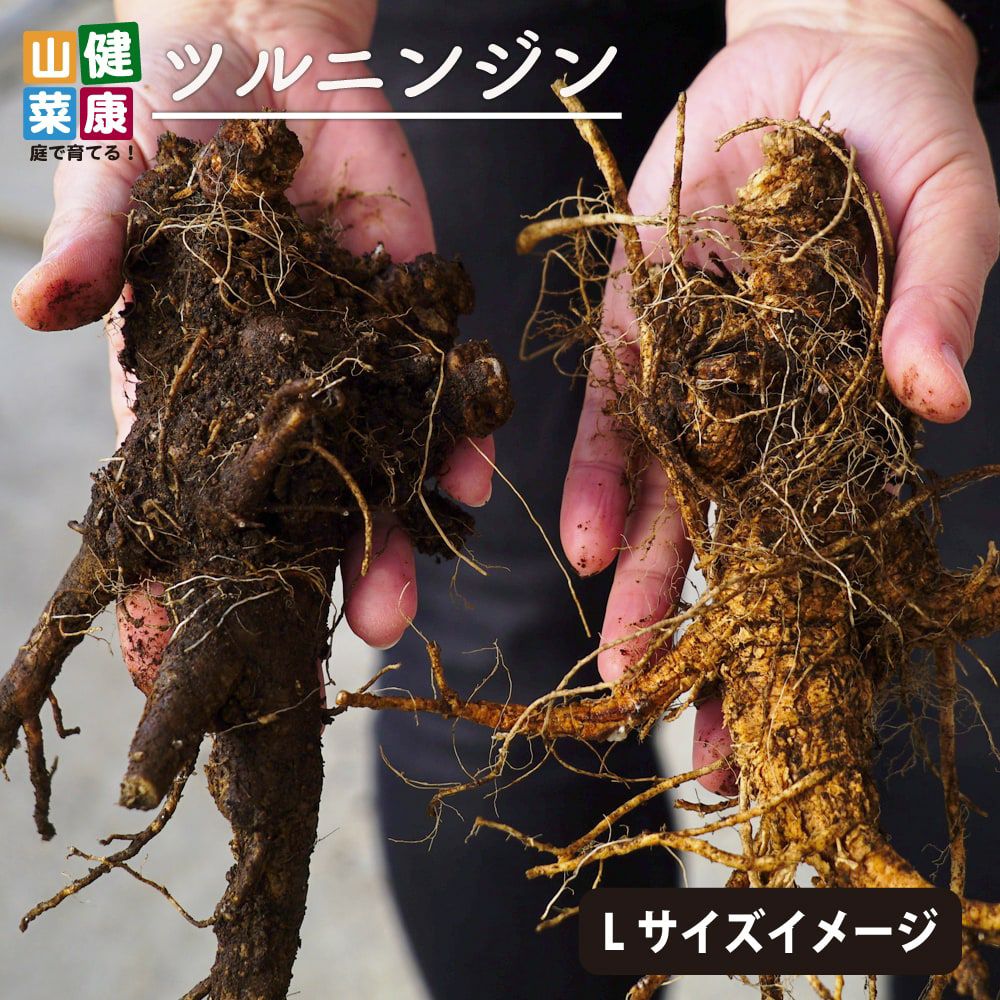 000000057436-01.jpg?size=l&w=