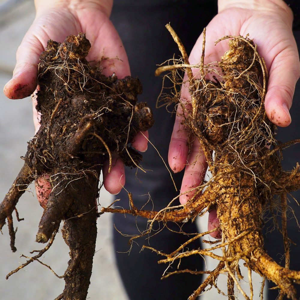 000000057436-04.jpg?size=l&w=