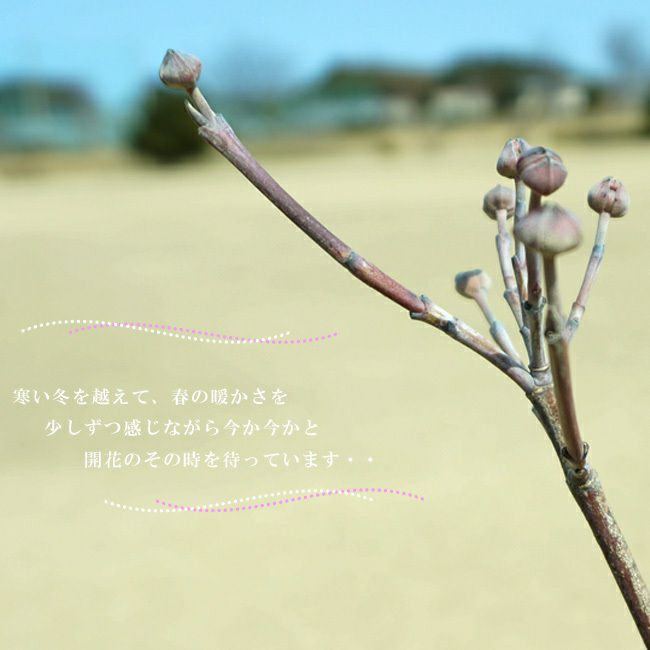 000000057591-03.jpg?size=l&w=