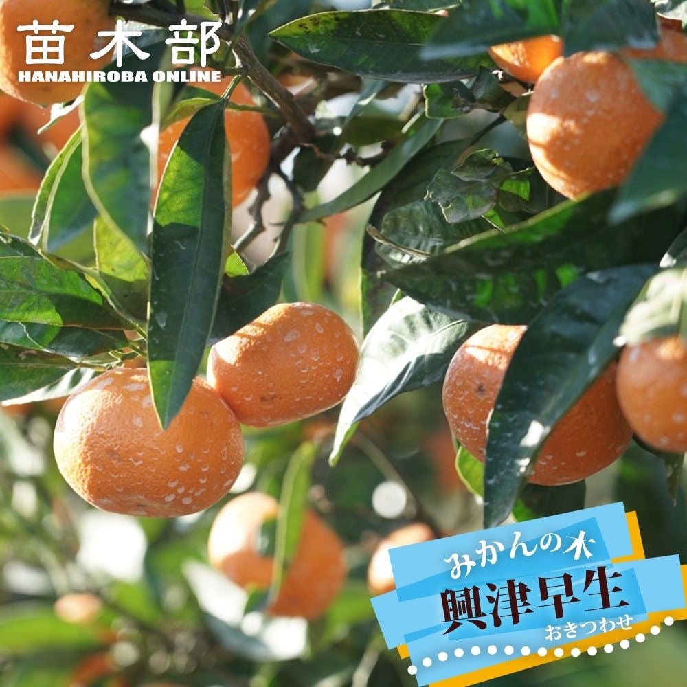 000000057887-01.jpg?size=l&w=