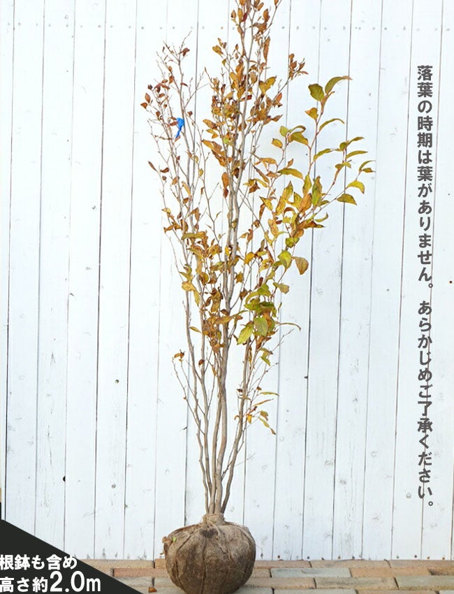 000000059587-03.jpg?size=l&w=