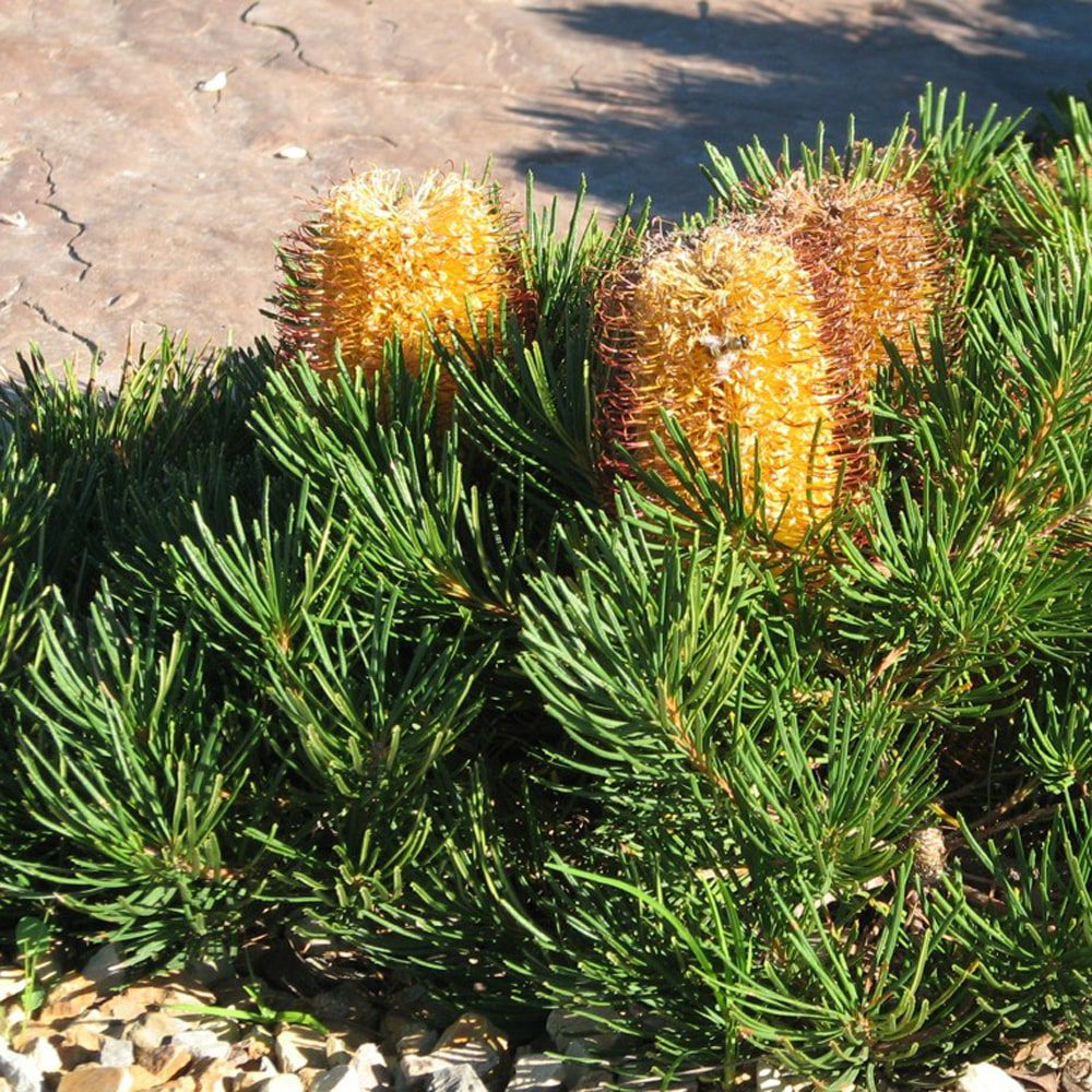 000000059647-05.jpg?size=l&w=