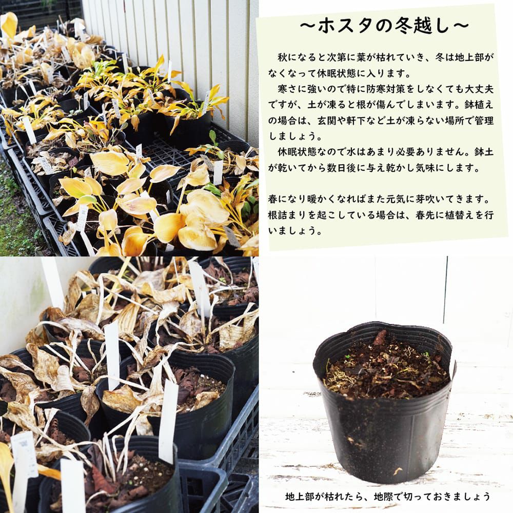 000000060501-04.jpg?size=l&w=