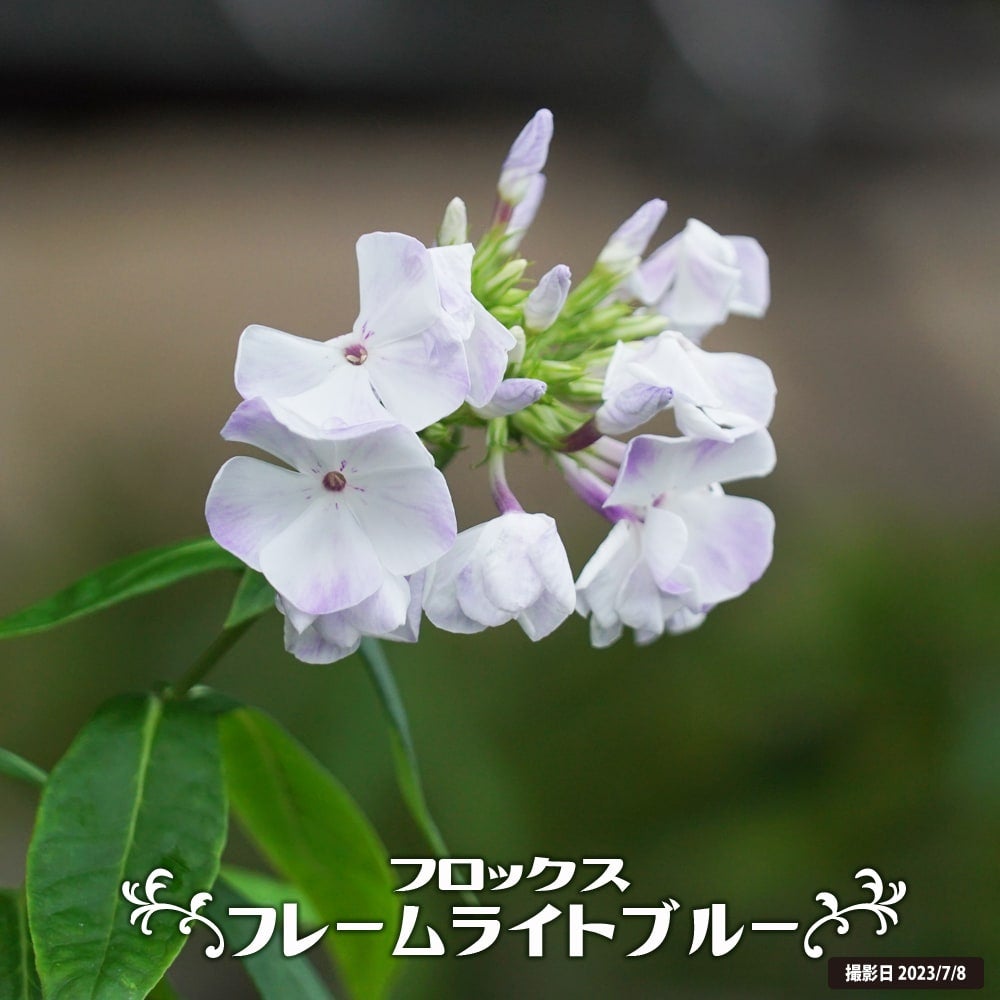 000000060758-01.jpg?size=l&w=
