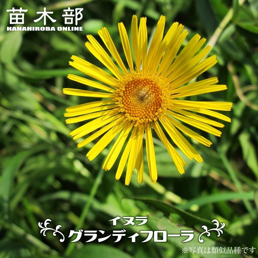 000000060940-01.jpg?size=l&w=