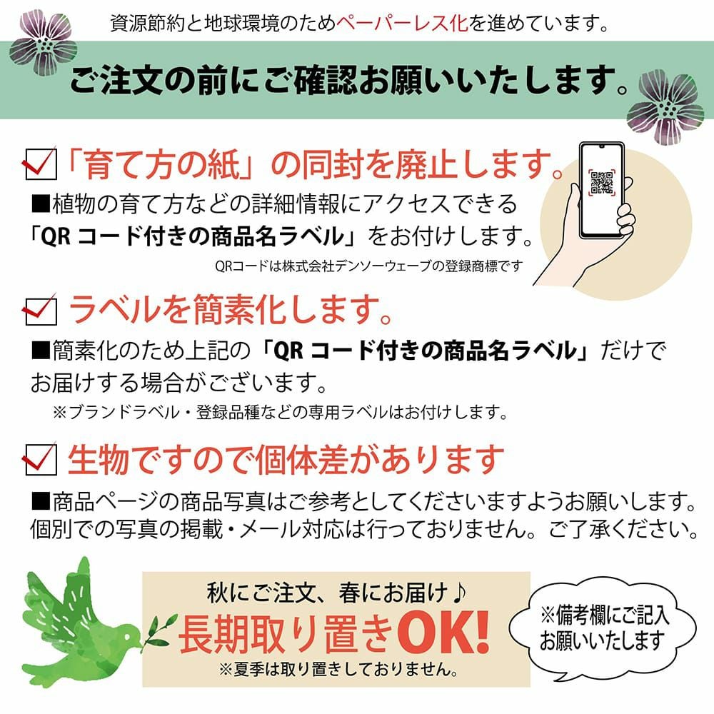 ネムノキ 白斑 苗 販売 苗木部 By 花ひろばオンライン