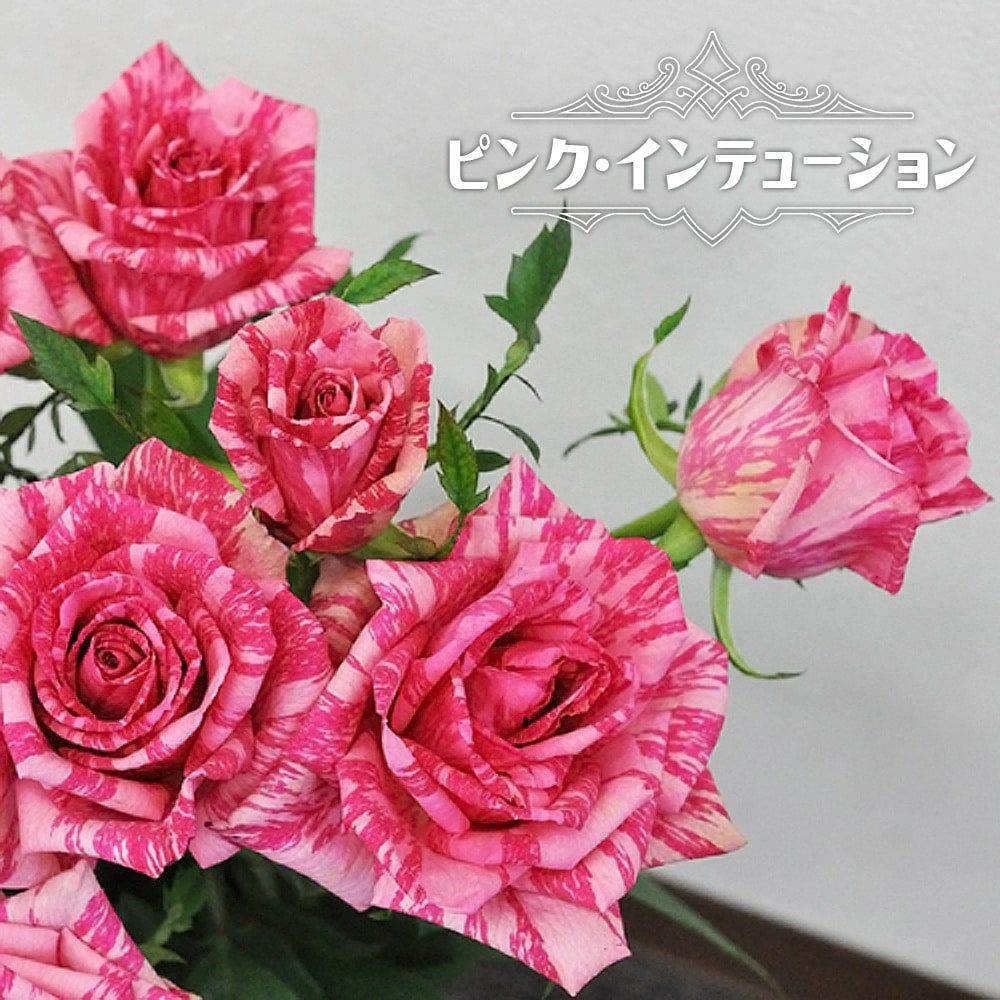 000000063094-01.jpg?size=l&w=