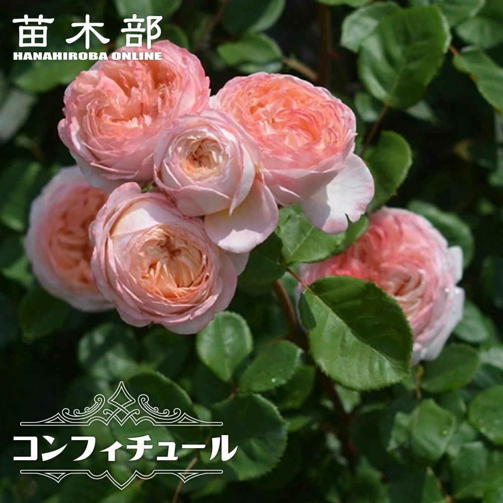 000000063519-01.jpg?size=l&w=