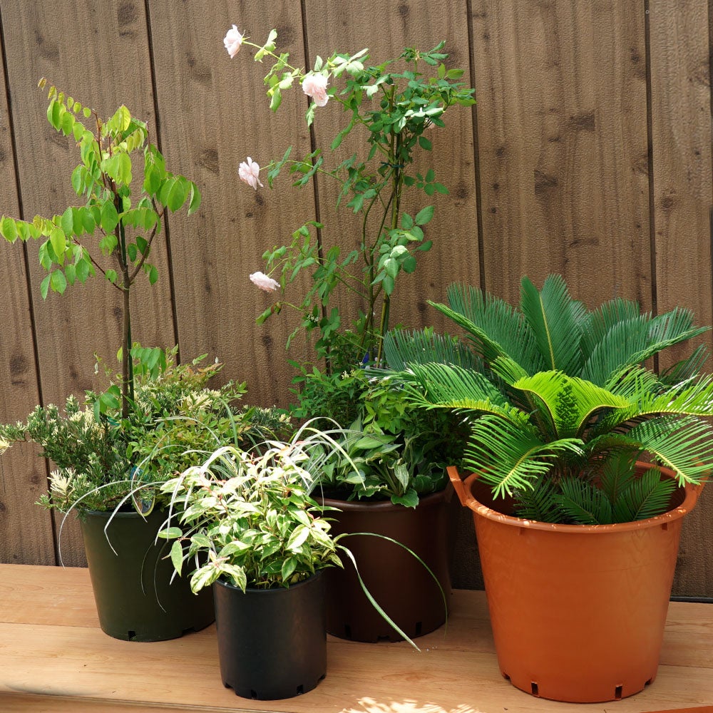 000000063652-04.jpg?size=l&w=