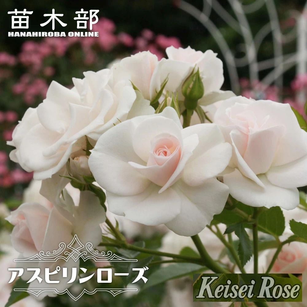 000000063746-01.jpg?size=l&w=