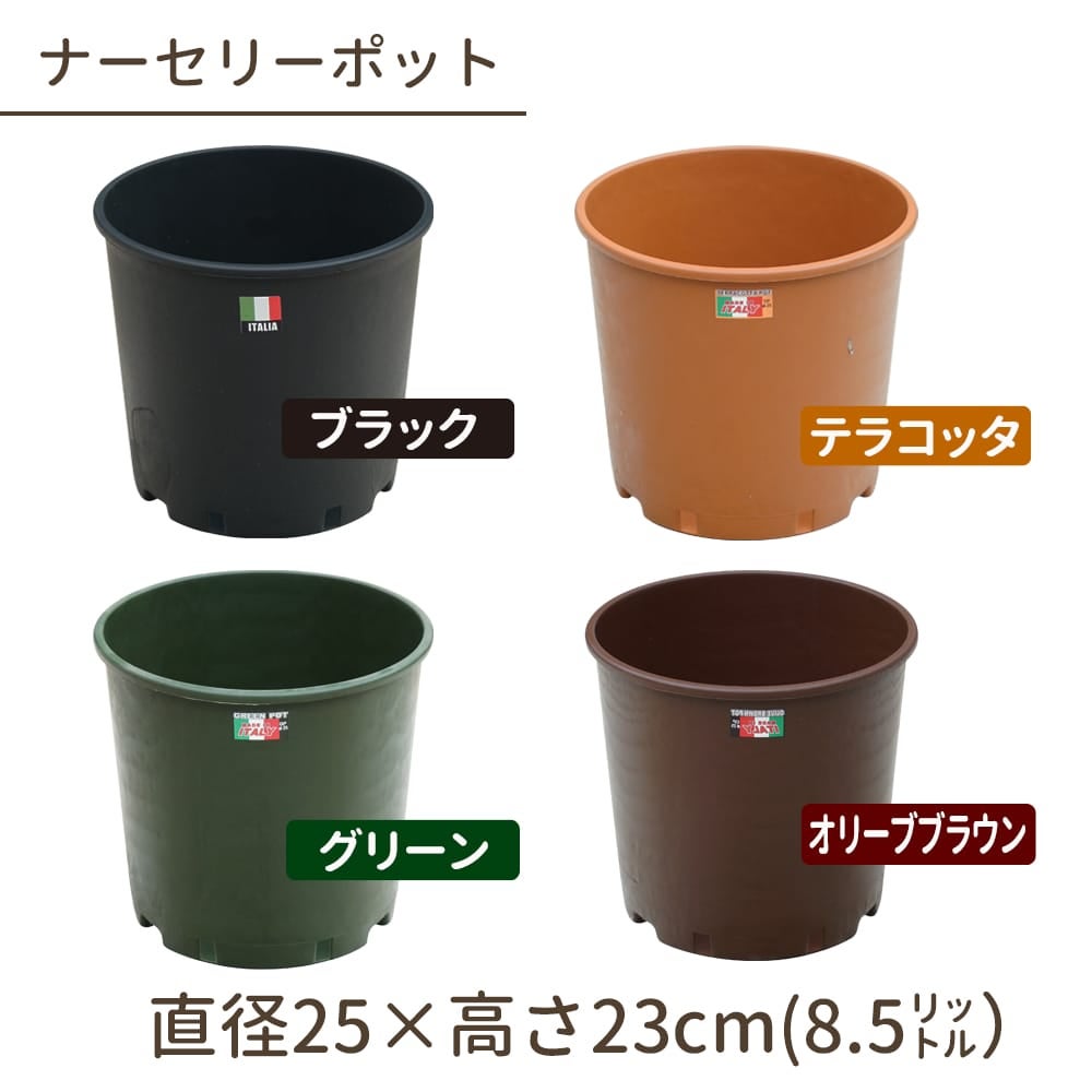 000000064405-01.jpg?size=l&w=