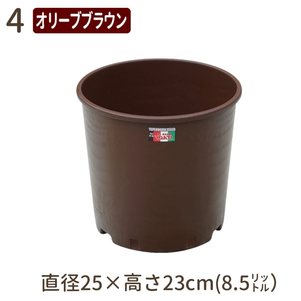 ナーセリーポット 苗 通販 植え方や育て方 苗木部 By 花ひろばオンライン
