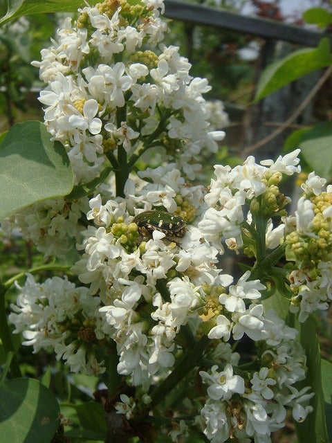 000000064562-02.jpg?size=l&w=