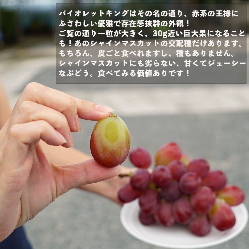 000000064727-02.jpg?size=l&w=