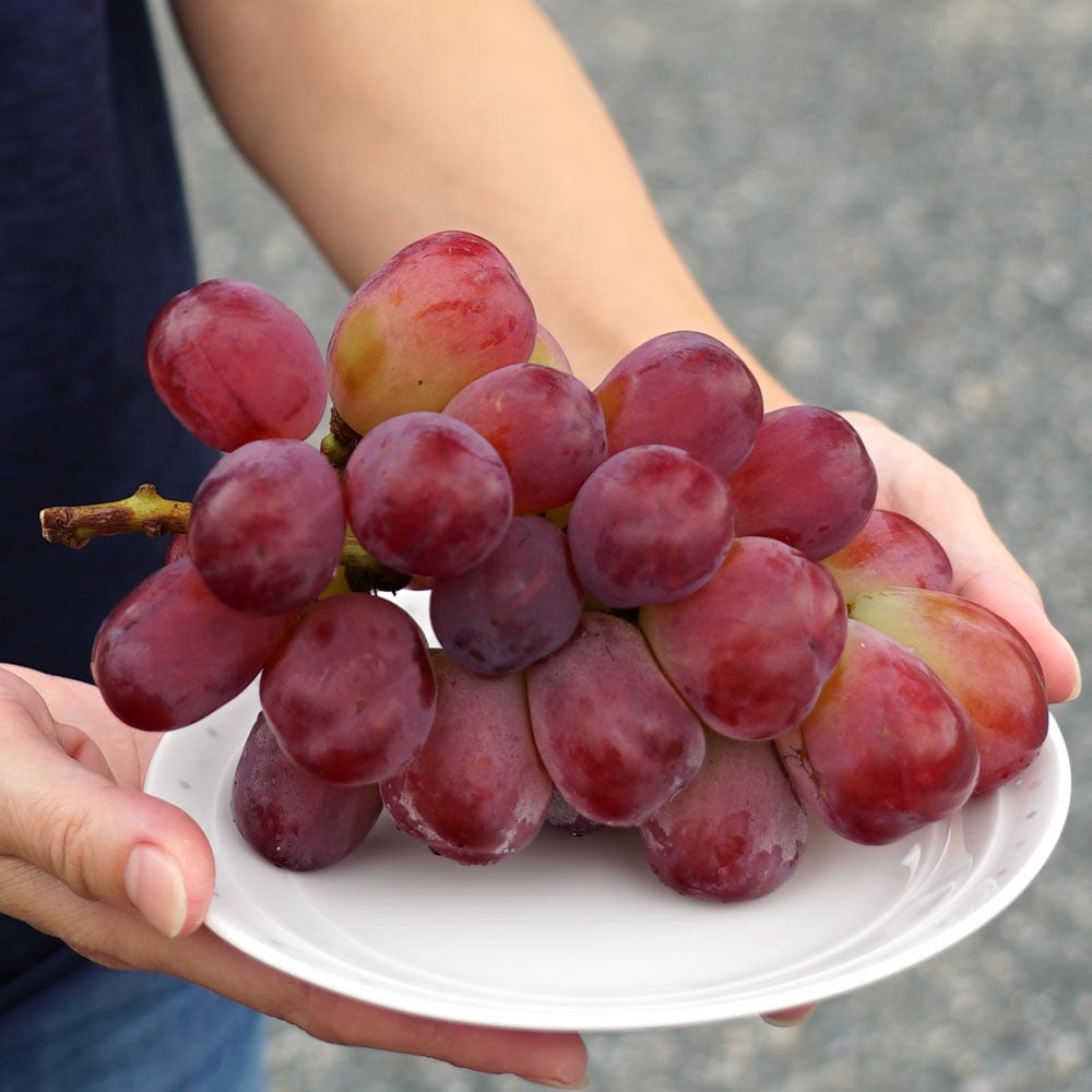 000000064727-07.jpg?size=l&w=