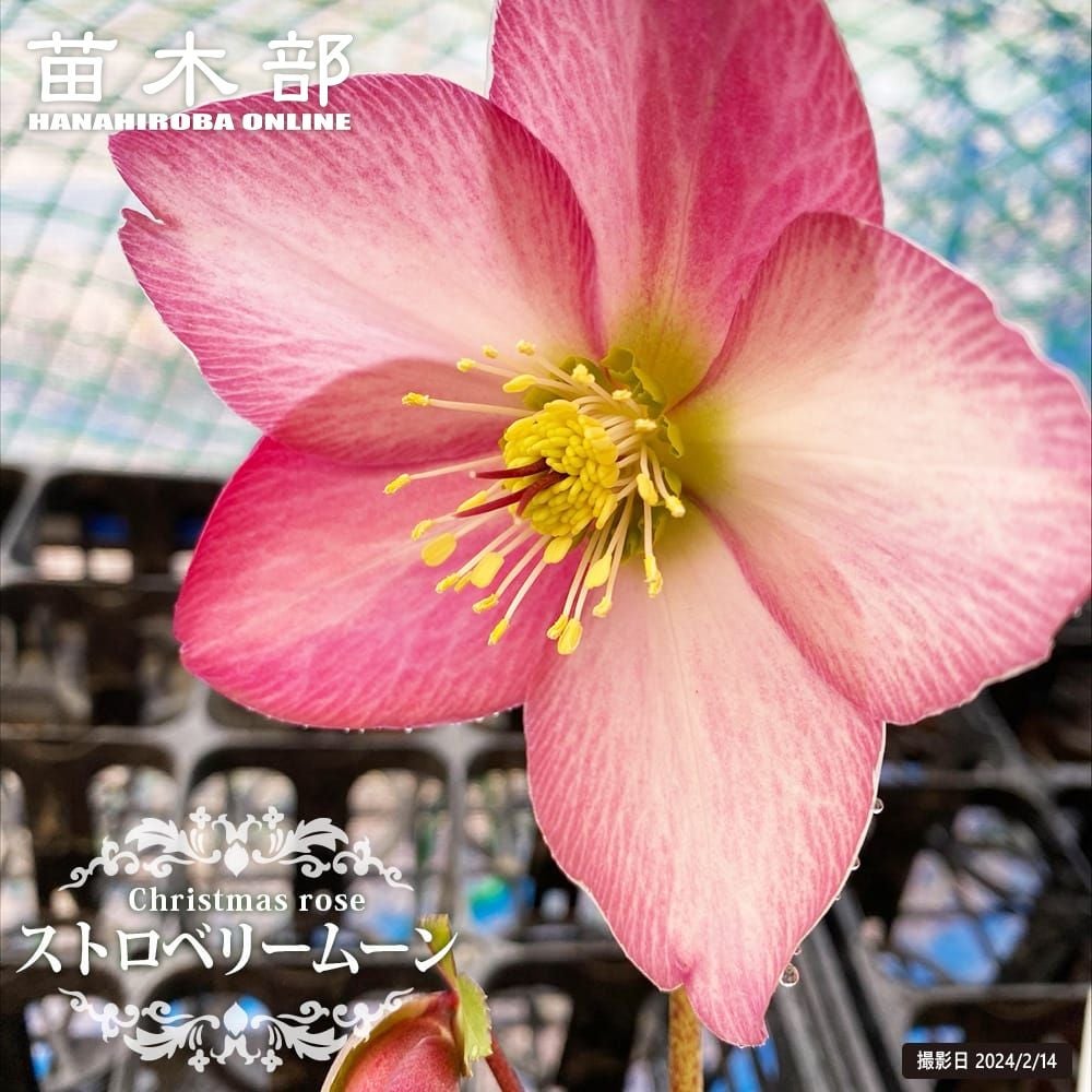 000000065192-01.jpg?size=l&w=