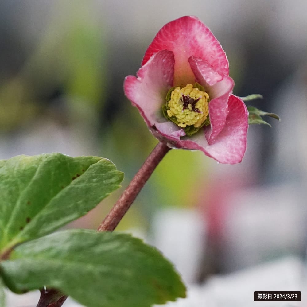 000000065192-04.jpg?size=l&w=