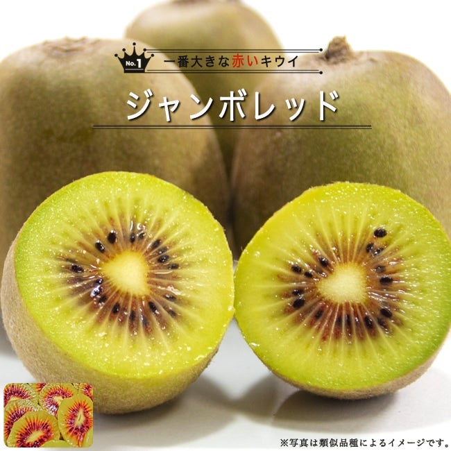 専用ページ(レッドキウイオスとジャンボイエローと香緑) Amazon.co.jp: キウイフルーツ苗木 ジャンボイエローと授粉用雄木