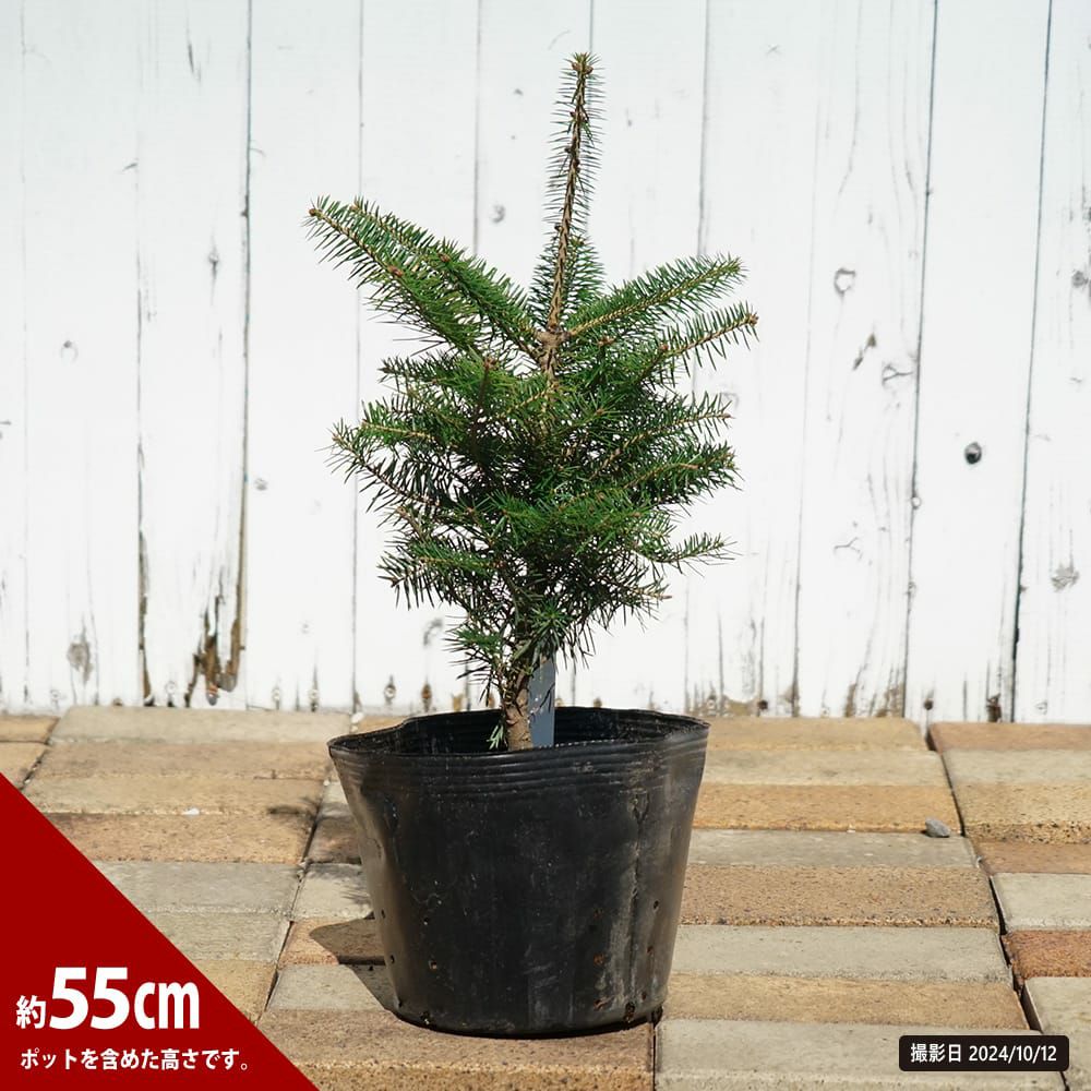 000000066939-03.jpg?size=l&w=