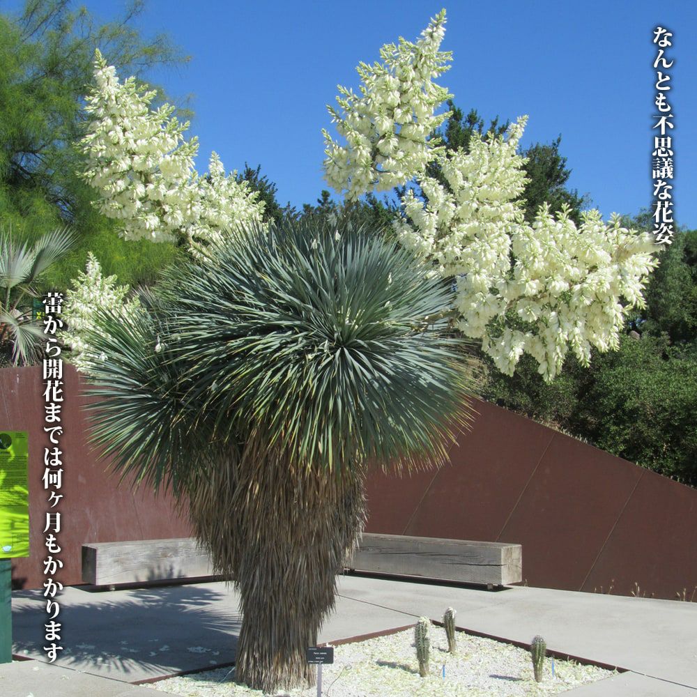 000000067290-03.jpg?size=l&w=