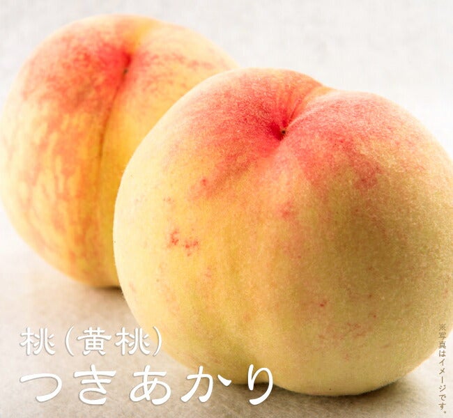 000000067484-01.jpg?size=m&w=