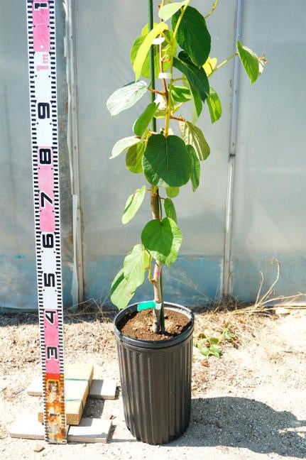 000000067556-02.jpg?size=l&w=